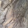 PVC Wandpaneele Arabescato Brown 260x122cm